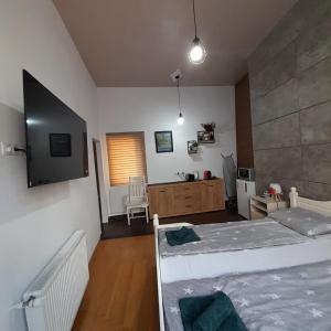 萨图马雷Pannónia Rooms and Apartments的一间卧室配有两张床和一张书桌