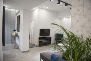 尼科西亚STAY Urban Skin Suite的客厅配有沙发和电视。