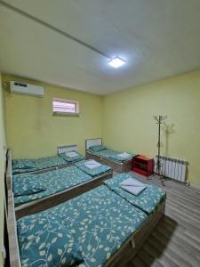 塔什干Stay hostel的一间房间,有三张床