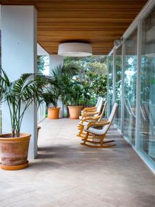 休达德亚Prinsotel La Caleta的一个带椅子和盆栽的庭院