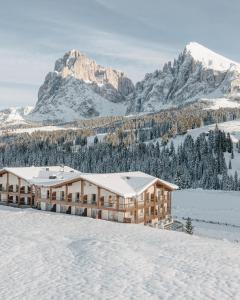 阿尔卑斯休斯山Brunelle Seiser Alm Lodge的一座雪地中的建筑,背景是一座山