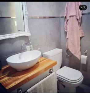 坦迪尔La Casita en Tandil的浴室配有白色水槽和卫生间。