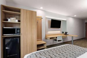 泽弗希尔斯米克罗套房酒店 - 泽弗希尔斯的酒店客房配有一张床和一张书桌及一台电视