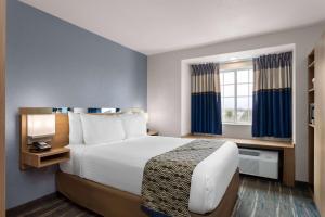 泽弗希尔斯米克罗套房酒店 - 泽弗希尔斯的酒店客房设有床和窗户。