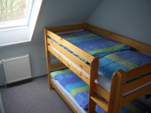 AltfunnixsielFerienhof Mittag的配有窗户的客房内的一张木制双层床