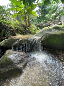 萨纳Segredo da alma的森林岩石上的小瀑布