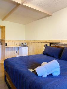 圣何塞德迈波La Petite France的一间带蓝色床的卧室和一间厨房
