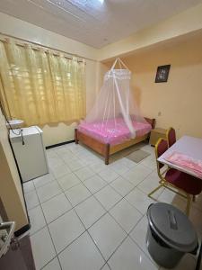 帕拉马里博Hotel Mangueira的一间卧室配有一张带蚊帐的床
