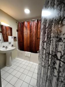 布吕隆Hotel Le Ranch的浴室配有淋浴帘和盥洗盆。