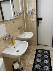 俄斯特拉发ZLATÁ-ÉRA的浴室设有白色水槽和镜子