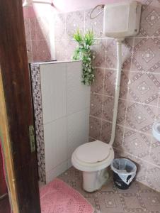 帕林廷斯Casa Parintins的浴室设有墙上植物厕所