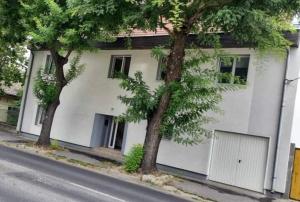 布达佩斯Milan Apartman的一条街道旁两棵树的白色房子