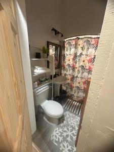 乔治敦Hollywood的一间带卫生间和水槽的小浴室