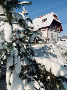 捷克特热博瓦Ubytování Javorka的房子前面的雪覆盖的树