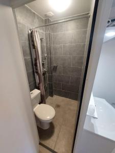 蒙特勒伊乐克莱伯酒店的一间带卫生间和淋浴的浴室
