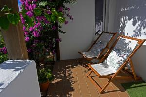 波特尔Matriz Guest House的两把椅子坐在开满鲜花的庭院里