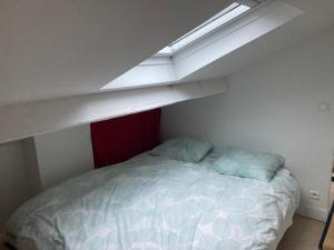 巴黎calme et verdure à Paris的一间卧室配有一张床和天窗