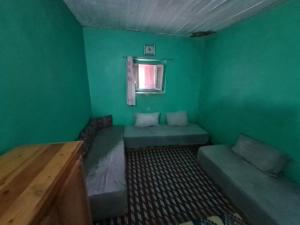 塔扎Gite Ain Bechar的绿色的客房设有沙发和窗户。