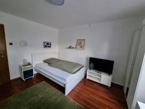 施洛斯霍尔特-斯图肯布罗克Ferienwohnung 120的一间卧室配有一张床和一台平面电视