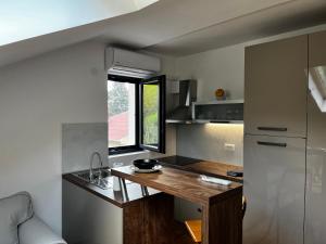 查科韦茨UrbanStudio5的一个带柜台和窗户的小厨房