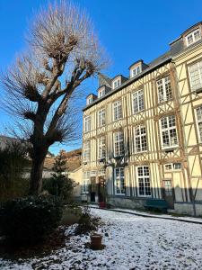 鲁昂Appartement au cœur du vieux Rouen的前面有一棵树的大建筑