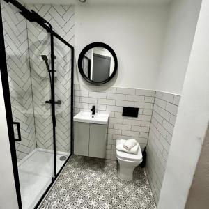 格拉斯哥1 bed Apt in West End的一间带卫生间、水槽和镜子的浴室