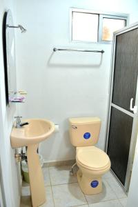 San LorenzoCasa Vieja Hotel y Restaurante的一间带卫生间和水槽的浴室