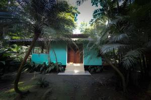曼萨尼约Jungle Dreamz的一座棕榈树的蓝色房子