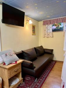 Katsch an der MurUmundumhütte的客厅配有真皮沙发和平面电视