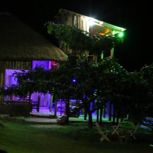 KapchorwaSipi Guest House的一座在晚上有树的建筑