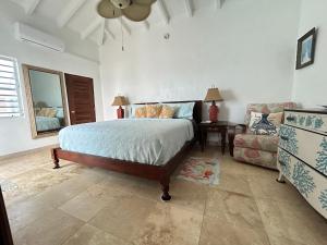 FrederikstedNorth Star Villa Oceanfront Family-Retreat With Pool的一间卧室配有一张床、一张沙发和一把椅子
