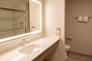 苏城苏城 - 南快捷假日酒店及套房的一间带水槽、镜子和卫生间的浴室