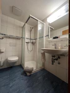 劳特布龙嫩洛萨别墅住宿加早餐旅馆的带淋浴、盥洗盆和卫生间的浴室