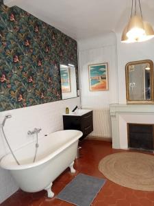 佩皮尼昂Le Mas Palegry Chambres d'hôtes Perpignan的带浴缸的浴室和壁炉。