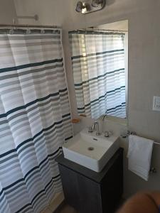 戈多伊克鲁斯Serenity的一间带水槽和淋浴帘的浴室