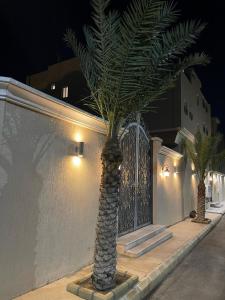塔伊夫HOLIDAy فاملي الطائف的棕榈树在晚上大门前