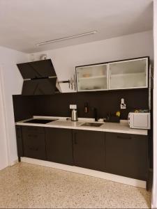 塞维利亚Plaza de Armas的厨房配有黑色橱柜和水槽