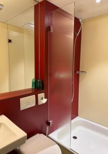 卢塞恩匹克威克酒店及酒馆“看得见风景的客房”的带淋浴、卫生间和盥洗盆的浴室