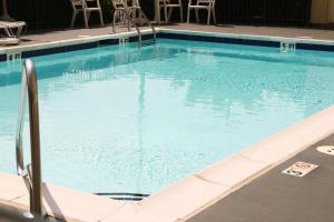 亨德森亨德森汉普顿酒店的酒店内有一个蓝色的游泳池