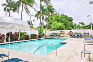 劳德代尔堡GALLERY One - A DoubleTree Suites by Hilton Hotel的一个带椅子和棕榈树的度假村游泳池