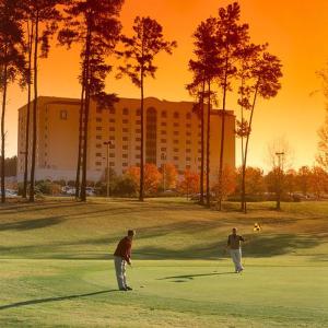 格林维尔格林维尔高尔夫及会议中心大使套房度假酒店的两个男子在高尔夫球场打高尔夫