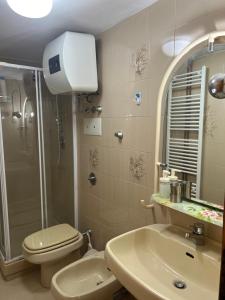 斯坎诺casita verde的浴室配有卫生间、盥洗盆和淋浴。