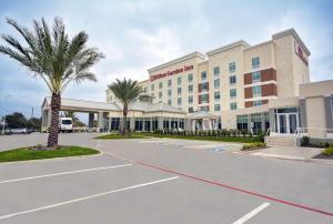 休斯顿Hilton Garden Inn Houston Hobby Airport的停车场内棕榈树的酒店