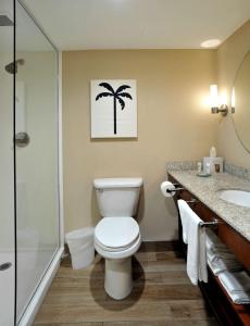 达尼亚滩Hotel Dello Ft Lauderdale Airport, Tapestry Collection by Hilton的浴室配有卫生间、淋浴和盥洗盆。