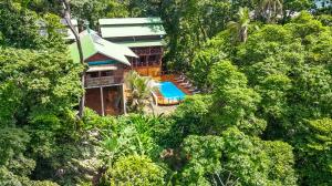 巴斯蒂门多斯The Lodge at Punta Rica- Hilltop Eco-Lodge with Views & Pool的森林中房屋的空中景观