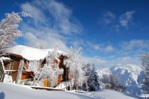 圣地亚哥La Cornisa Lodge的雪覆盖着雪覆盖的树木的房子