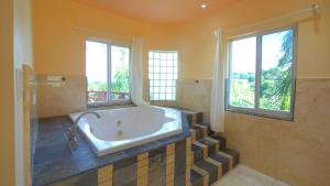 克里斯琴斯特德Royal Palms Estate的带浴缸的大浴室和2扇窗户。