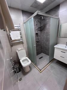 巴库Noor hotel的带淋浴、卫生间和盥洗盆的浴室