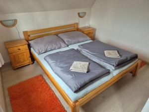 伏尔塔瓦河畔利普诺Chata Lipno的一张床上有两个枕头的房间