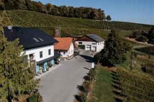 里格斯堡Winzer Suite - Weingut Dietl的享有村庄的空中景致,设有葡萄园